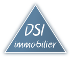 DSI Immobilier